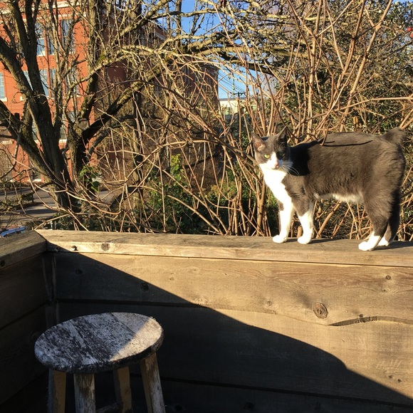 Meet your Posher, Kris - Picture 5 of 6